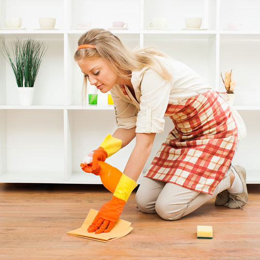 Domestic Cleaners Surbiton